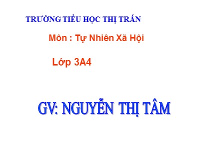 Bài giảng Tự nhiên & xã hội 3 - Vệ sinh môi trường - GV: Nguyễn Thị Tâm