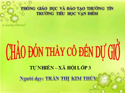 Bài giảng Tự nhiên & xã hội 3 - Vệ sinh môi trường - GV: Trần Thị Kim Thúy