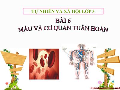 Bài giảng Tự nhiên & xã hội khối 3 - Bài 6: Máu và cơ quan tuần hoàn