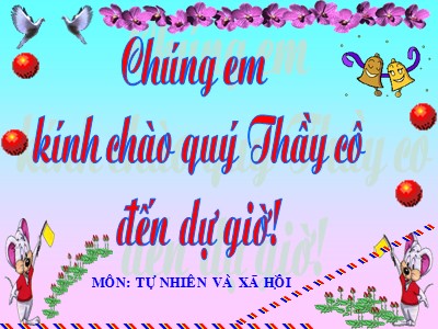 Bài giảng Tự nhiên & xã hội khối 3 - Không chơi các trò chơi nguy hiểm