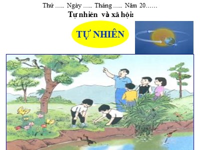 Bài giảng Tự nhiên & xã hội khối 3 - Thực Vật