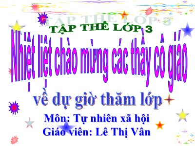 Bài giảng Tự nhiên & xã hội lớp 3 - Bài 19: Các thế hệ trong một gia đình - Giáo viên: Lê Thị Vân