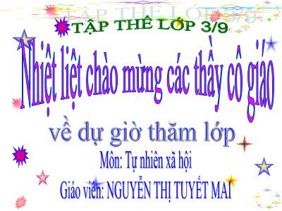 Bài giảng Tự nhiên & xã hội lớp 3 - Bài 19: Các thế hệ trong một gia đình - Giáo viên: Nguyễn Thị Tuyết Mai