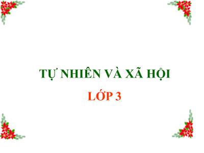 Bài giảng Tự nhiên & xã hội lớp 3 - Bài 19: Các thế hệ trong một gia đình