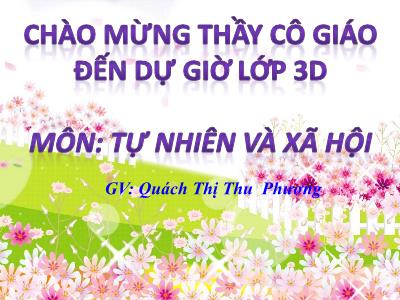 Bài giảng Tự nhiên & xã hội lớp 3 - Bài 19: Các thế hệ trong một gia đình - GV: Quách Thị Thu Phương