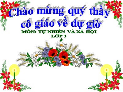 Bài giảng Tự nhiên & xã hội lớp 3 - Bài 26: Không chơi các trò chơi nguy hiểm