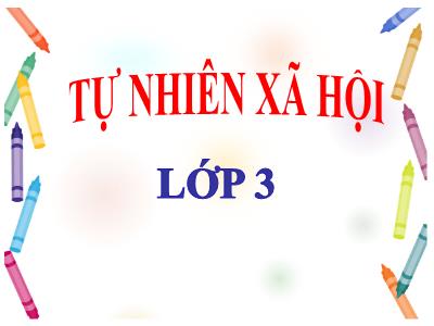 Bài giảng Tự nhiên & xã hội lớp 3 - Bài 9: Phòng bệnh tim mạch