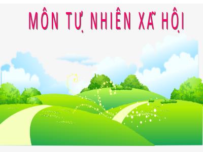 Bài giảng Tự nhiên & xã hội lớp 3 - Họ nội, họ ngoại