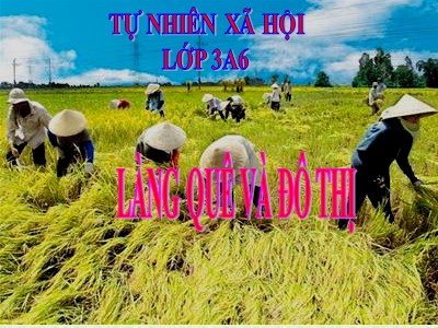 Bài giảng Tự nhiên & xã hội lớp 3 - Làng quê và đô thị