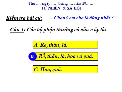 Bài giảng Tự nhiên & xã hội lớp 3 - Thân cây (Tiếp theo)