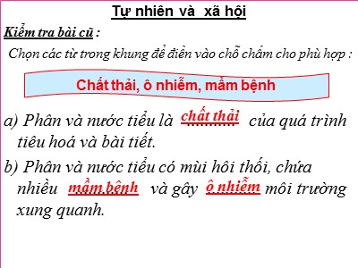 Bài giảng Tự nhiên & xã hội lớp 3 - Thực Vật