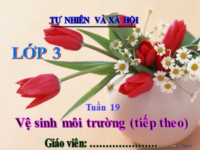 Bài giảng Tự nhiên & xã hội lớp 3 - Tuần 19: Vệ sinh môi trường (tiếp theo)