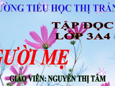 Bài giảng Tập đọc + Kể chuyện 3 - Người mẹ - Giáo viên: Nguyễn Thị Tâm