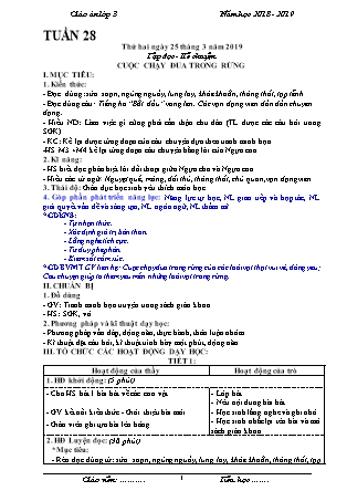 Giáo án phát triển năng lực Tổng hợp các môn Lớp 3 - Tuần 28 - Năm học 2018-2019 - Trường TH Hoàng Hoa Thám