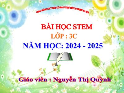 Bài học STEM Tự nhiên và Xã hội Lớp 3 - Bài 13: Một số bộ phận của thực vật (Tiết 2, 3) - Năm học 2024-2025 - Nguyễn Thị Quỳnh