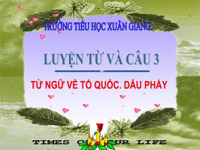 Bài giảng Tiếng Việt 3 - Luyện từ và câu: Từ ngữ về Tổ quốc. Dấu phẩy - NH 2021-2022 (GV: Đinh Thị Mai)