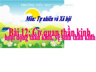 Bài giảng TNXH 3 - Bài 12: Cơ quan thần kinh, hoạt động thần kinh, vệ sinh thần kinh - NH 2021-2022