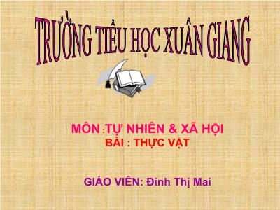 Bài giảng TNXH 3 - Bài 40: Thực vật - NH 2021-2022 (GV: Đinh Thị Mai)