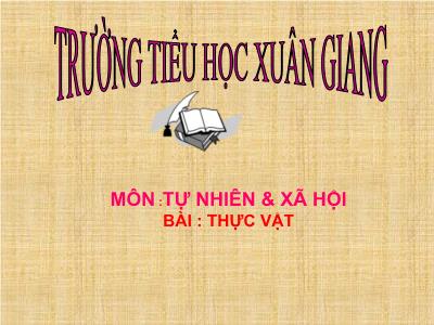 Bài giảng TNXH 3 - Bài 40: Thực vật - NH 2021-2022 (GV: Nguyễn Thị Hằng)