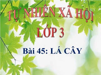 Bài giảng TNXH 3 - Bài 45: Lá cây - NH 2021-2022 (GV: Nguyễn Thị Hằng)