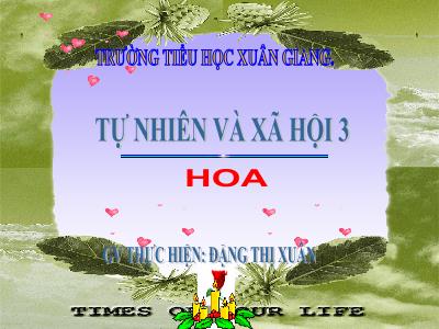 Bài giảng TNXH 3 - Bài 47: Hoa - NH 2021-2022 (GV: Đặng Thị Xuân)