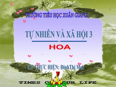 Bài giảng TNXH 3 - Bài 47: Hoa - NH 2021-2022 (GV: Đinh Thị Mai)