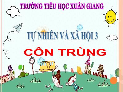 Bài giảng TNXH 3 - Bài 50: Côn trùng - NH 2021-2022 (GV: Nguyễn Thị Hằng)