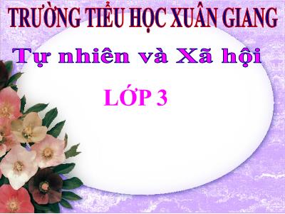 Bài giảng TNXH 3 - Bài 52: Cá - NH 2021-2022 (GV: Nguyễn Thị Hằng)