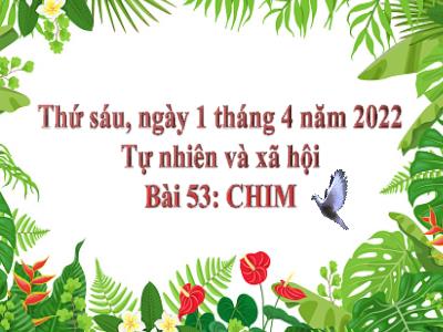 Bài giảng TNXH 3 - Bài 53: Chim - NH 2021-2022 (GV: Nguyễn Thị Hằng)