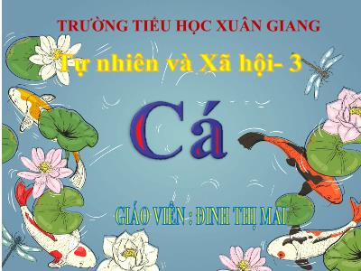 Bài giảng TNXH 3 - Bài: Cá - NH 2021-2022 (GV: Đinh Thị Mai)