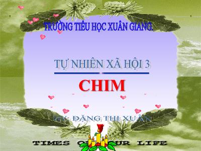 Bài giảng TNXH 3 - Bài: Chim - NH 2021-2022 (GV: Đặng Thị Xuân)