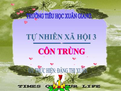 Bài giảng TNXH 3 - Bài: Côn trùng - NH 2021-2022 (GV: Đặng Thị Xuân)