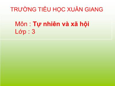 Bài giảng TNXH 3 - Bài: Động vật - Năm học 2021-2022
