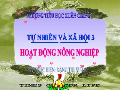 Bài giảng TNXH 3 - Bài: Hoạt động nông nghiệp - NH 2021-2022 (GV: Đặng Thị Xuân)