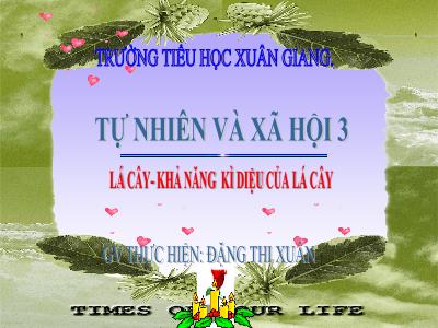 Bài giảng TNXH 3 - Bài: Lá cây. Khả năng kì diệu của lá cây - NH 2021-2022 (GV: Đặng Thị Xuân)