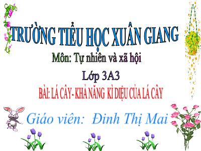 Bài giảng TNXH 3 - Bài: Lá cây. Khả năng kì diệu của lá cây - NH 2021-2022 (GV: Đinh Thị Mai)