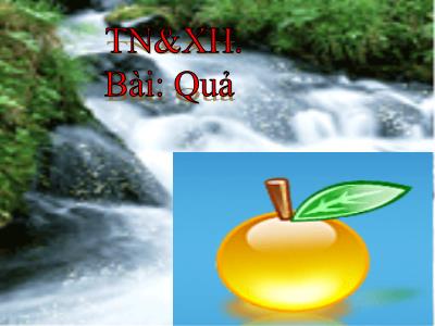 Bài giảng TNXH 3 - Bài: Quả - NH 2021-2022 (GV: Nguyễn Thị Hằng)