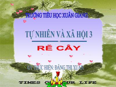 Bài giảng TNXH 3 - Bài: Rễ cây - NH 2021-2022 (GV: Đặng Thị Xuân)