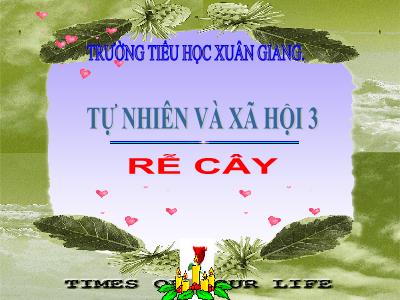 Bài giảng TNXH 3 - Bài: Rễ cây - NH 2021-2022