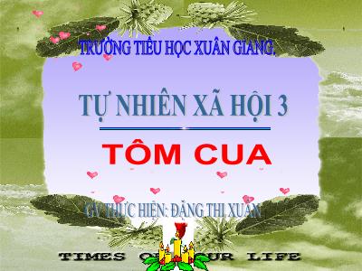 Bài giảng TNXH 3 - Bài: Tôm cua - NH 2021-2022 (GV: Đặng Thị Xuân)