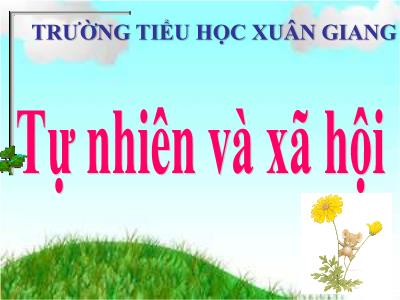 Bài giảng TNXH 3 - Ôn tập và kiểm tra: Con người và sức khỏe - NH 2021-2022