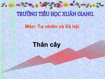 Bài giảng TNXH 3 - Tiết 41: Thân cây - NH 2021-2022