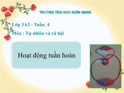 Bài giảng TNXH 3 - Tuần 4, Bài: Hoạt động tuần hoàn - NH 2021-2022 (GV: Nguyễn Thị Hằng)