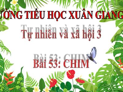 Bài giảng TNXH Lớp 3 - Bài 53: Chim - NH 2021-2022 (GV: Nguyễn Thị Hằng)