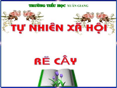 Bài giảng TNXH Lớp 3 - Bài: Rễ cây - NH 2021-2022