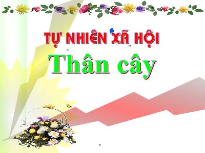 Bài giảng TNXH Lớp 3 - Tiết 41: Thân cây - NH 2021-2022