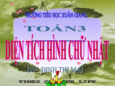 Bài giảng Toán 3 - Bài: Diện tích hình chữ nhật - NH 2021-2022 (GV: Đinh Thị Mai)