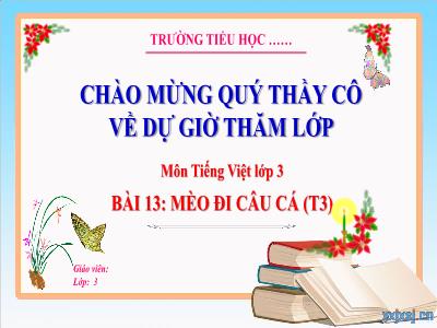 Bài giảng Tiếng Việt 3 (Kết nối tri thức) - Bài 13: Mèo đi câu cá (Tiết 3)