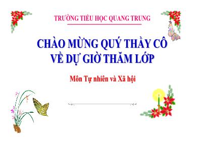 Bài giảng Tự nhiên xã hội 3 (Kết nối tri thức) - Bài 10: Hoạt động sản xuất thủ công và công nghiệp (Tiết 1) - Năm học 2022-2023 - Trường Tiểu học Quang Trung