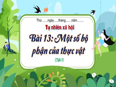 Bài giảng Tự nhiên xã hội 3 (Kết nối tri thức) - Bài 13: Một số bộ phận của thực vật (Tiết 1)